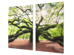 Worktop saver and Pastry Board 60D08: Tree 2