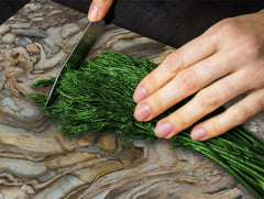 Glass Kitchen Board 60D20: Stones