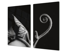 Worktop Saver 60D06B: Brotes de plantas