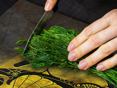 Gigante Cubre vitro resistente a golpes y arañazos - Serie egipcia DD15 Figura egipcia