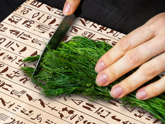 Gigante Cubre vitro resistente a golpes y arañazos - Serie egipcia DD15 Jeroglíficos egipcios