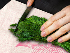 Impact & Shatter Resistant Worktop saver- Image Series DD05B Women's theme 2