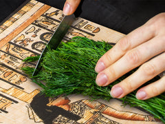 Gigante Cubre vitro resistente a golpes y arañazos - Serie egipcia DD15 Jeroglíficos 4