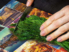 Very Big Cooktop saver - Nature series DD08 Autumn leaves