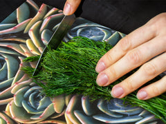ENORMOUS Tempered GLASS Chopping Board - Flower series DD06A Cactus flowers