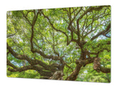 Very Big Cooktop saver - Nature series DD08 Tree 1