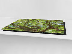 Very Big Cooktop saver - Nature series DD08 Tree 1