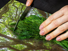 Very Big Cooktop saver - Nature series DD08 Tree 1