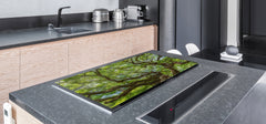 Very Big Cooktop saver - Nature series DD08 Tree 1
