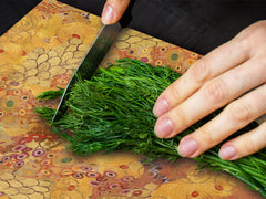 Worktop saver and Pastry Board – Cooktop saver; Series: Outside Series DD19 Microscopic bacteria