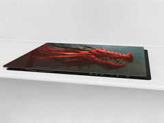 Enorm Küchenbrett aus Hartglas und Induktionskochplattenabdeckung; Food series DD16: African food