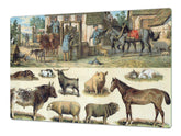 GIGANTE tagliere – Proteggi-piano di lavoro e spianatoia; Serie: Serie Esterna DD19: Animali rurali
