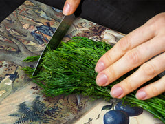 Worktop saver and Pastry Board – Cooktop saver; Series: Outside Series DD19 Set of fruits