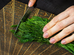 Gigante Cubre vitro resistente a golpes y arañazos - Serie egipcia DD15 Jeroglíficos 2