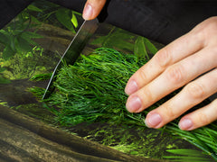 Very Big Cooktop saver - Nature series DD08 Amazonia