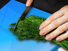 Very Big Cooktop saver - Nature series DD08 Shells on the beach 2