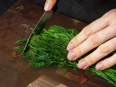 Induction Cooktop Cover – Glass Worktop saver: Fantasy and fairy-tale series DD18 Laboratory