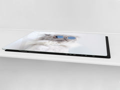 Gigantic Worktop saver and Pastry Board - Tempered GLASS Cutting Board Animals series DD01 Kitty 1