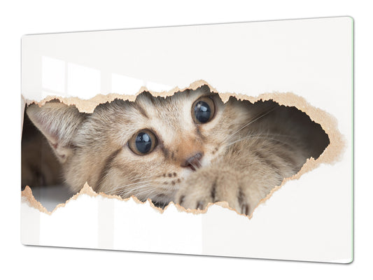Gigantic Worktop saver and Pastry Board - Tempered GLASS Cutting Board Animals series DD01 Kitten 2