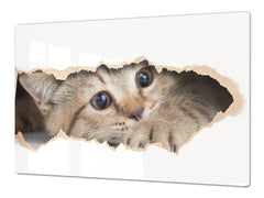 Gigantic Worktop saver and Pastry Board - Tempered GLASS Cutting Board Animals series DD01 Kitten 2