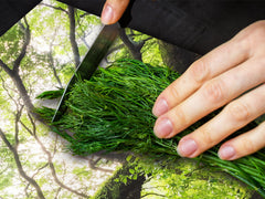 Very Big Cooktop saver - Nature series DD08 Tree 2