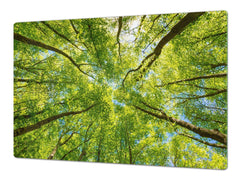 Very Big Cooktop saver - Nature series DD08 Crowns of trees
