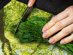 Very Big Cooktop saver - Nature series DD08 Crowns of trees