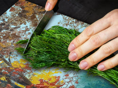 Very Big Cooktop saver - Nature series DD08 Park in the autumn season 1