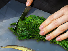 Induction Cooktop Cover – Glass Worktop saver: Fantasy and fairy-tale series DD18 A lonely boat