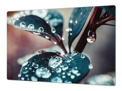 Very Big Cooktop saver - Nature series DD08 Dew on the leaves
