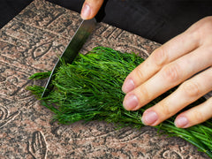 GÉANT PLANCHE À DÉCOUPER EN VERRE TREMPÉ; Série égyptienne DD15: Hiéroglyphes 3