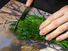 GIGANTIC CUTTING BOARD and Cooktop Cover- Image Series DD05A Winter day