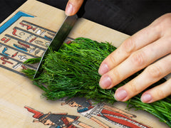 HUGE TEMPERED GLASS COOKTOP COVER - Egyptian Series DD15 Egyptian figures 2