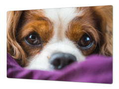 Gigantic Worktop saver and Pastry Board - Tempered GLASS Cutting Board Animals series DD01 Doggie