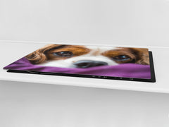 Gigantic Worktop saver and Pastry Board - Tempered GLASS Cutting Board Animals series DD01 Doggie