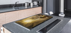 Induction Cooktop Cover – Glass Worktop saver: Fantasy and fairy-tale series DD18 Wander your thoughts