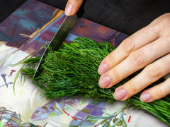 Impact & Shatter Resistant Worktop saver- Image Series DD05B Modern Art