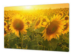 ENORMOUS Tempered GLASS Chopping Board - Flower series DD06A Sunflower 2