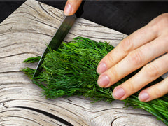 ENORMOUS Tempered GLASS Chopping Board - Induction Cooktop Cover DD36 Textures and tiles 2 Series: Growth rings 1