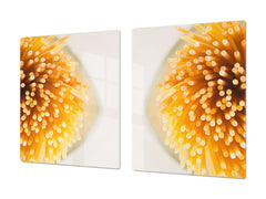 Enorme Cubre vitros de cristal templado - Serie de alimentos DD16 Pasta 1