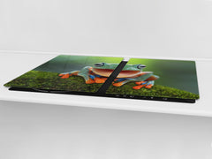 Gigantic Worktop saver and Pastry Board - Tempered GLASS Cutting Board Animals series DD01 A smiling frog 2