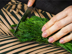 Enorme Cubre vitros de cristal templado - Serie de alimentos DD16 Comida Africa