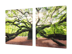 Very Big Cooktop saver - Nature series DD08 Tree 2