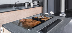 Gigantic Worktop saver and Pastry Board - Tempered GLASS Cutting Board Animals series DD01 Dog with a cat