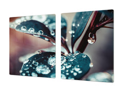Very Big Cooktop saver - Nature series DD08 Dew on the leaves