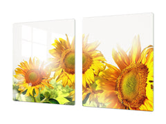 ENORMOUS Tempered GLASS Chopping Board - Flower series DD06A Sunflower 1