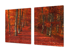 Very Big Cooktop saver - Nature series DD08 Autumn forest