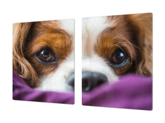 Gigantic Worktop saver and Pastry Board - Tempered GLASS Cutting Board Animals series DD01 Doggie