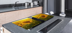 ENORMOUS Tempered GLASS Chopping Board - Flower series DD06A Sunflower 2