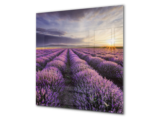 Placa protectora contra salpicaduras de vidrio templado BS16 Serie de paisajes de cascada: Serie cascada: Heathers Violet Tree 4